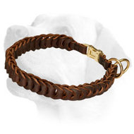 Stylish Braided Leather Choke Collar for Labrador