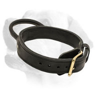 Wide Training Leather Labrador Collar