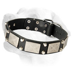 Ultra Strong Exclusive Leather Collar For Handling Large and Sturdy Labradors