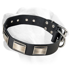 Labrador Luxurious Leather Collar Decorated With Carved Plates