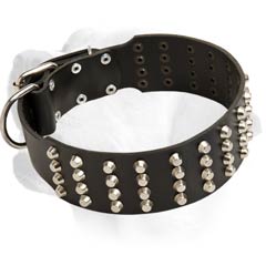 Labrador Extra Wide Leather Collar With Silver Drops Decoration
