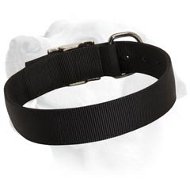 Basic Nylon Collar For Labrador