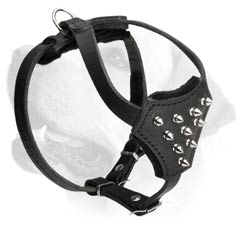 Bright and Stylish Puppy Harness For Labrador