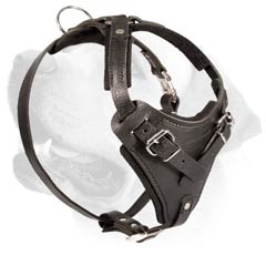 Practical Heavy Duty Harness for Labrador