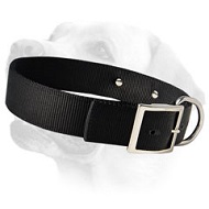 Great Identifying Dog Collar For Labrador With Name Tag