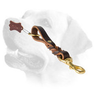 Braided Leather Labrador Leash With Brass Fittings