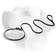 Obedience Training Leather Labrador Leash And Choke Collar