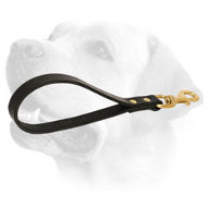 Leather Labrador Leash Padded With Brass Snap Hook