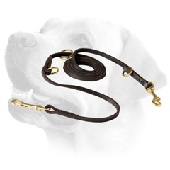 Stitched Leather Labrador Leash With Brass Fittings
