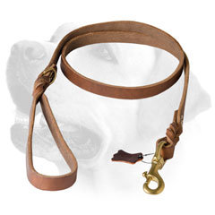 Universal Braided Leather Labrador Leash
