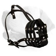 Maxi Air Everyday Leather Muzzle For Labrador