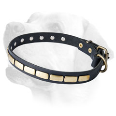 Slim Leather Collar Decorated With Smooth Brass Plates
