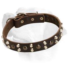 Super Decorative Leather Collar For Labrador
