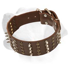 Wide Labrador Leather Collar With Furious Decoration