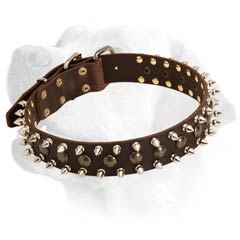 Amazing Dog Leather Collar For Exceptional Labradors