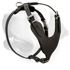 Classical Leather Padded Harness For Labrador