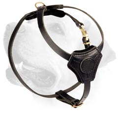 Sport Plus Puppy Leather Harness For Labrador
