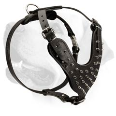 Buy Spiked Dog Harness Manufacturers