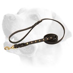 Cute Labrador Leather Lead With Plaited Decoration