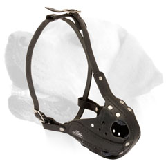 Labrador Heavy Duty Leather Muzzle With Good Air Ventilation