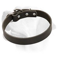 Classical Leather Dog Collar For Labrador