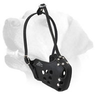Strong Leather Labrador Muzzle For Training