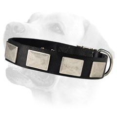 Vintage Look Nylon Collar For Labrador