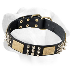 Labrador Leather Collar With Bright and Intricate Decoration