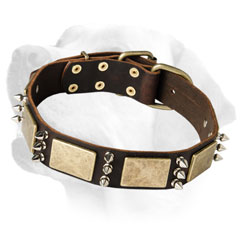 Armored Dog Leather Collar With Stylish Flamboyant Decoration