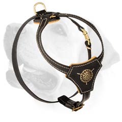 Labrador Puppy Leather Harness With Exquisite Decorative Medallion