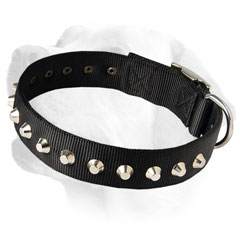 Shiny Decorative Nylon Collar For Labrador