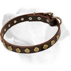 Slim Super Nice Leather Collar for Labrador