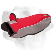 Labrador Soft Shell Warm Coat For Wearing In Winter