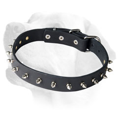 Labrador Elegant Leather Collar With Sparkling Spikes