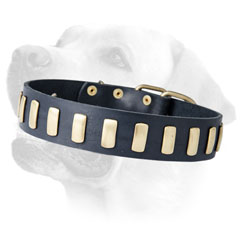 Exclusively designed Labrador leather collar