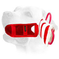 Labrador Training Pillow with Jute Cover