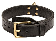 Handcrafted 2 Ply Leather Agitation Labrador Collar Handcrafted 2 Ply Leather Agitation Labrador Collar