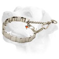 Best Neck Tech Labrador Pinch Prong Collar of Stainless Steel - 19 inch (48 cm) in length