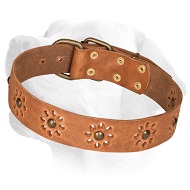 'Spring mood' Leather Walking Dog Collar 'Spring mood' Leather Walking Dog Collar