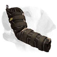 Safe Labrador professional sleeve for training