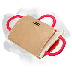 Labrador professional bite pillow with     removable cover