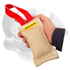 Jute Dog Bite Toy For Labrador 