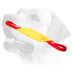 Training French Linen Dog Bite Tug For Labrador 