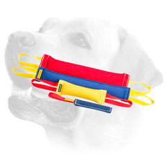 Training French Linen Labrador Bite Tugs For Proper Training