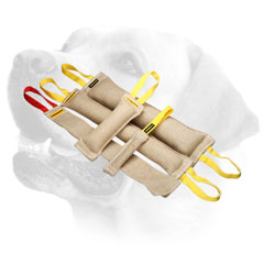 Training Jute Labrador Bite Tugs 
