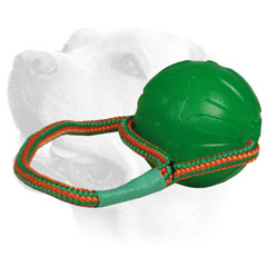 Labrador Rubber Ball of     high-quality safe materials