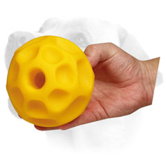 Labrador tetraflex ball for     chewing