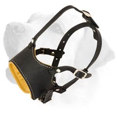 High Quality Soft Leather Labrador Muzzle for Training