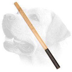 Labrador professional stick to make more noise