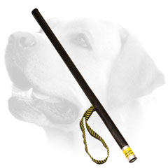 Labrador professional     attack motivation stick